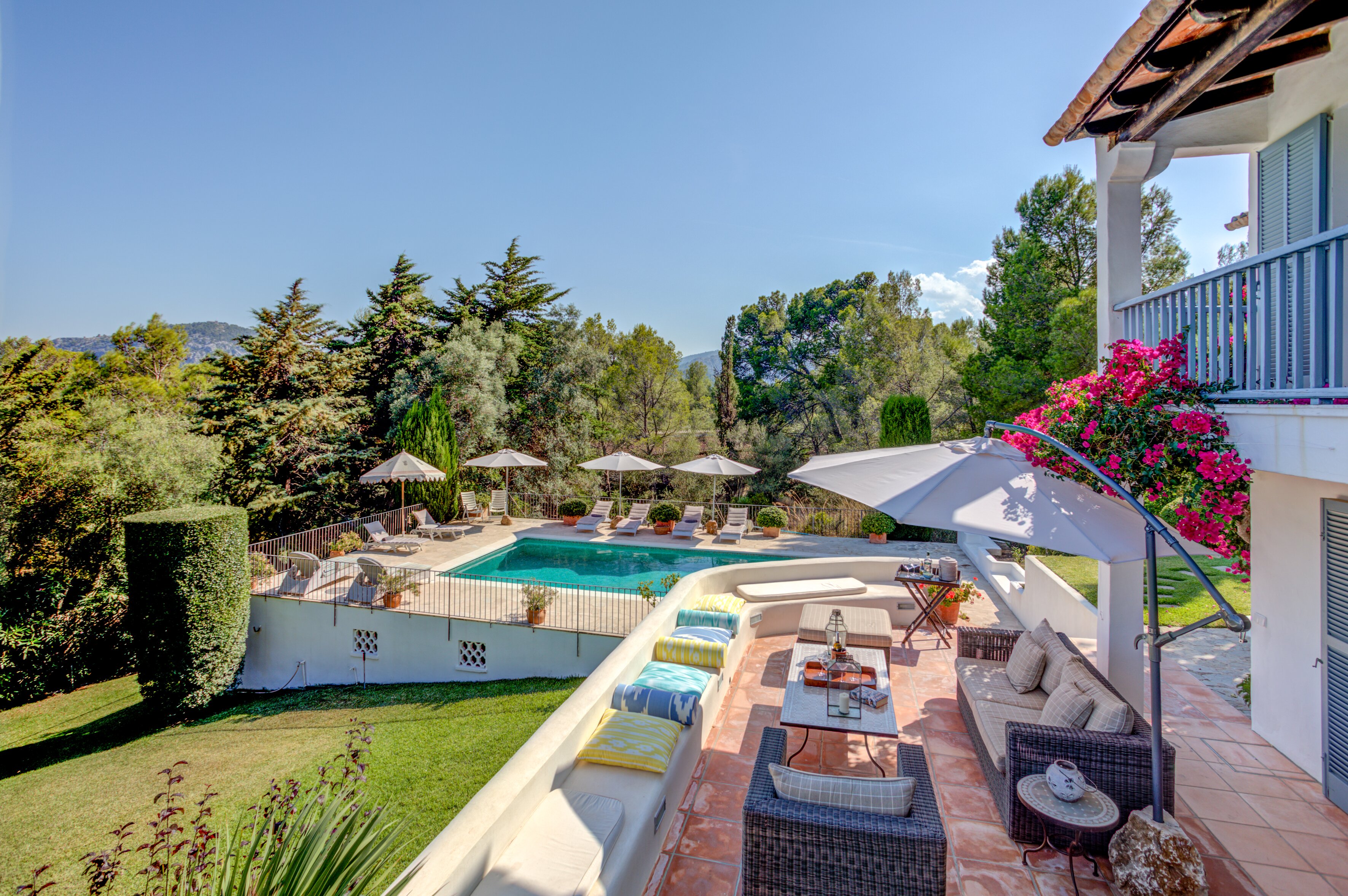 Las Peonias - Image 4