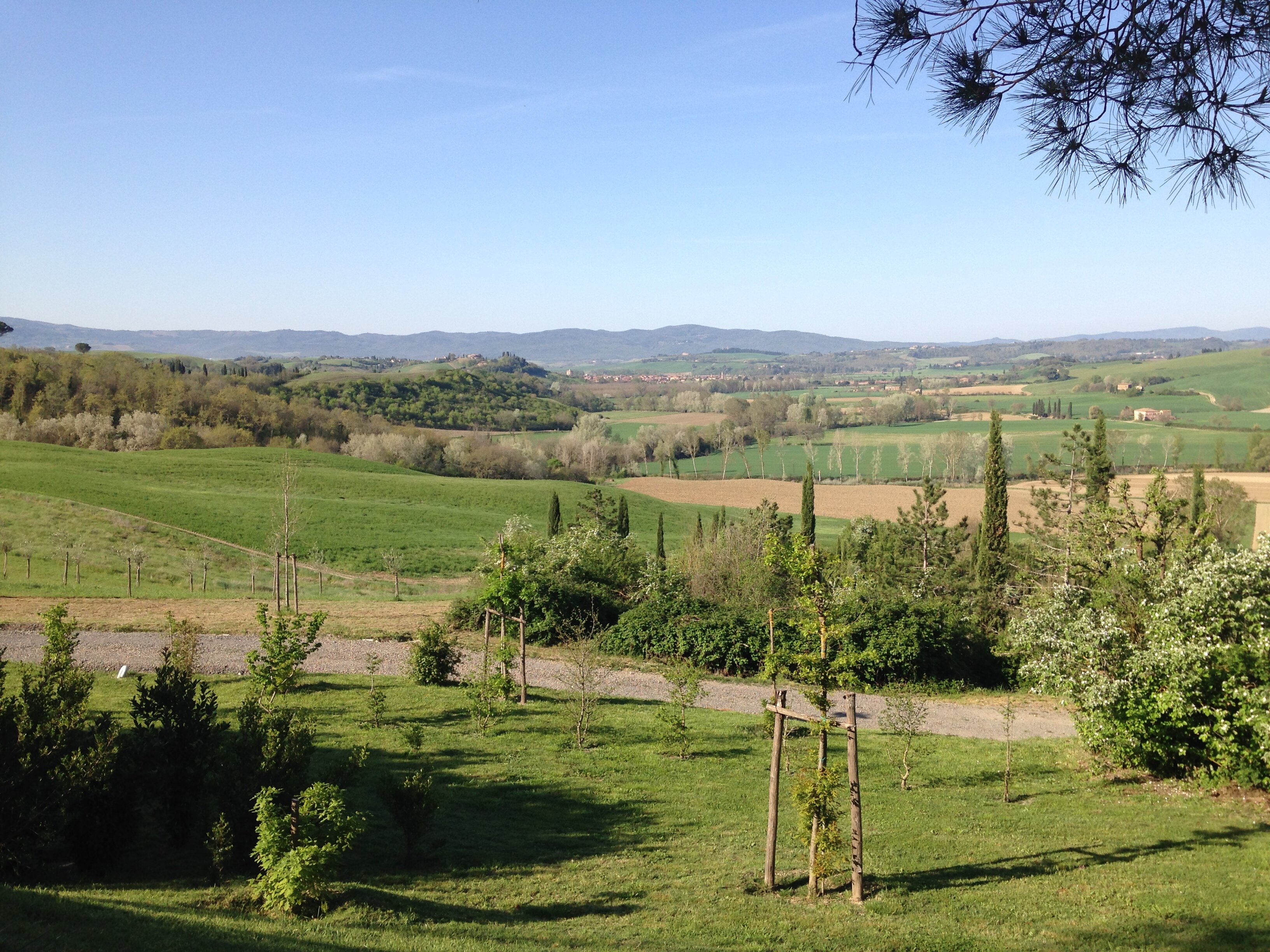 Villa Calliope - Image 10