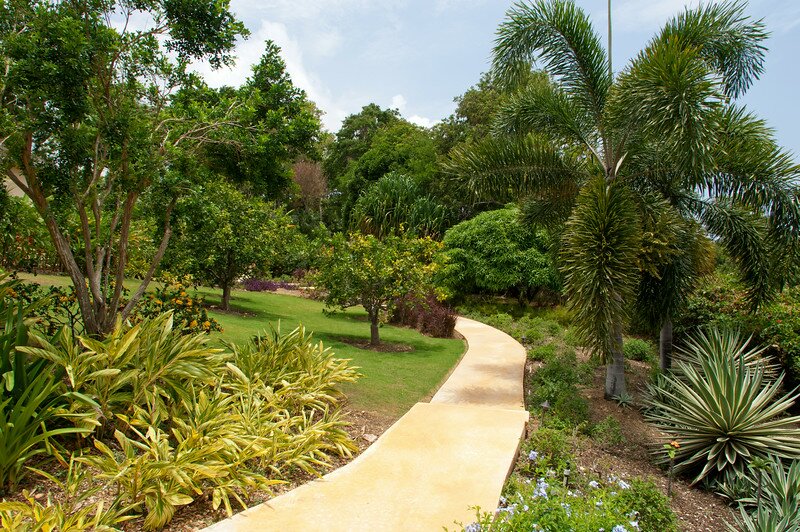 Kenyan Sunset - Image 15