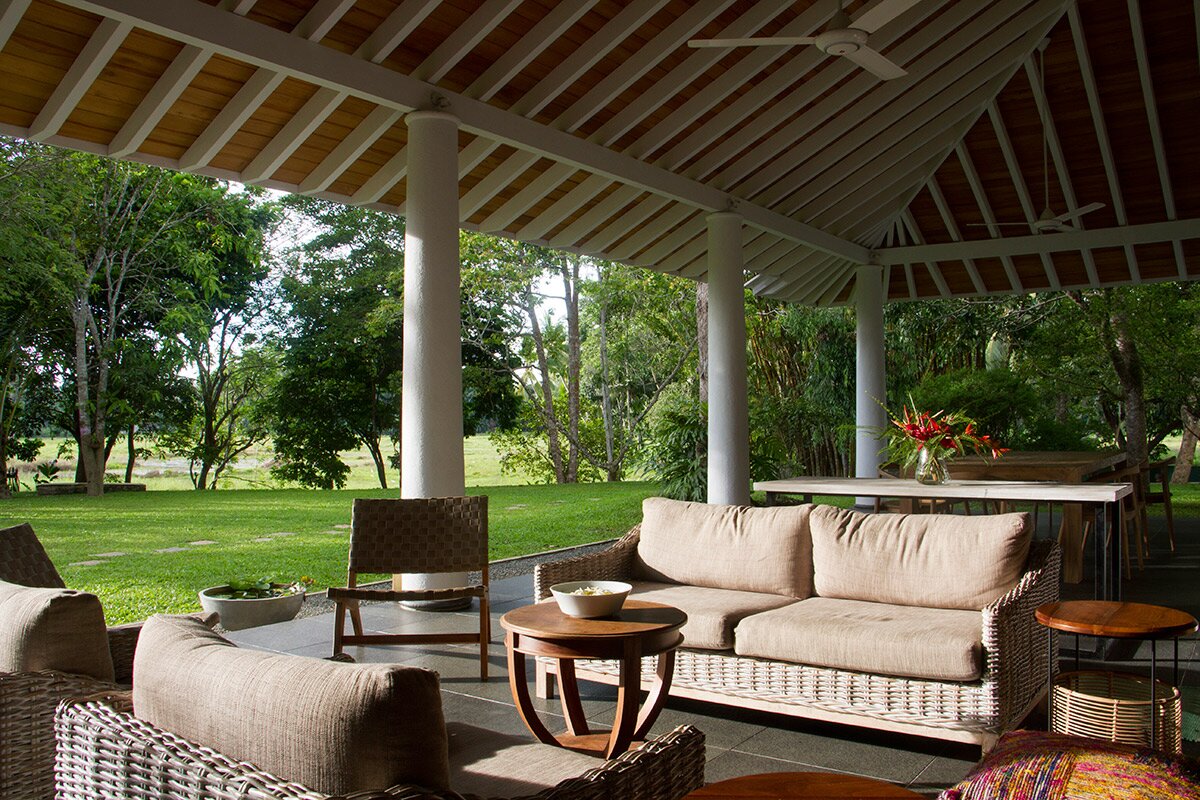 Water Lily - Image 6