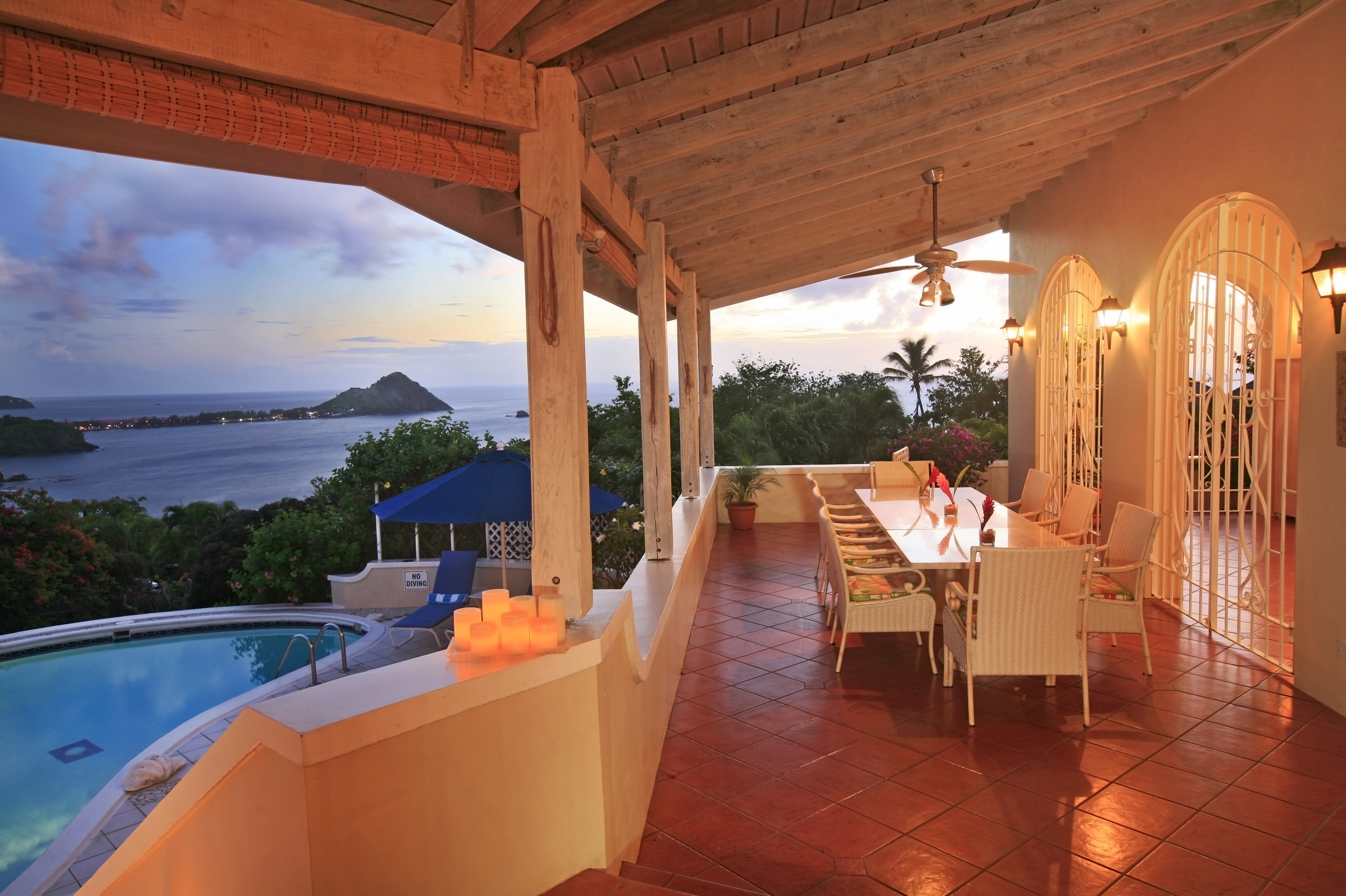 Wild Orchid - Image 11