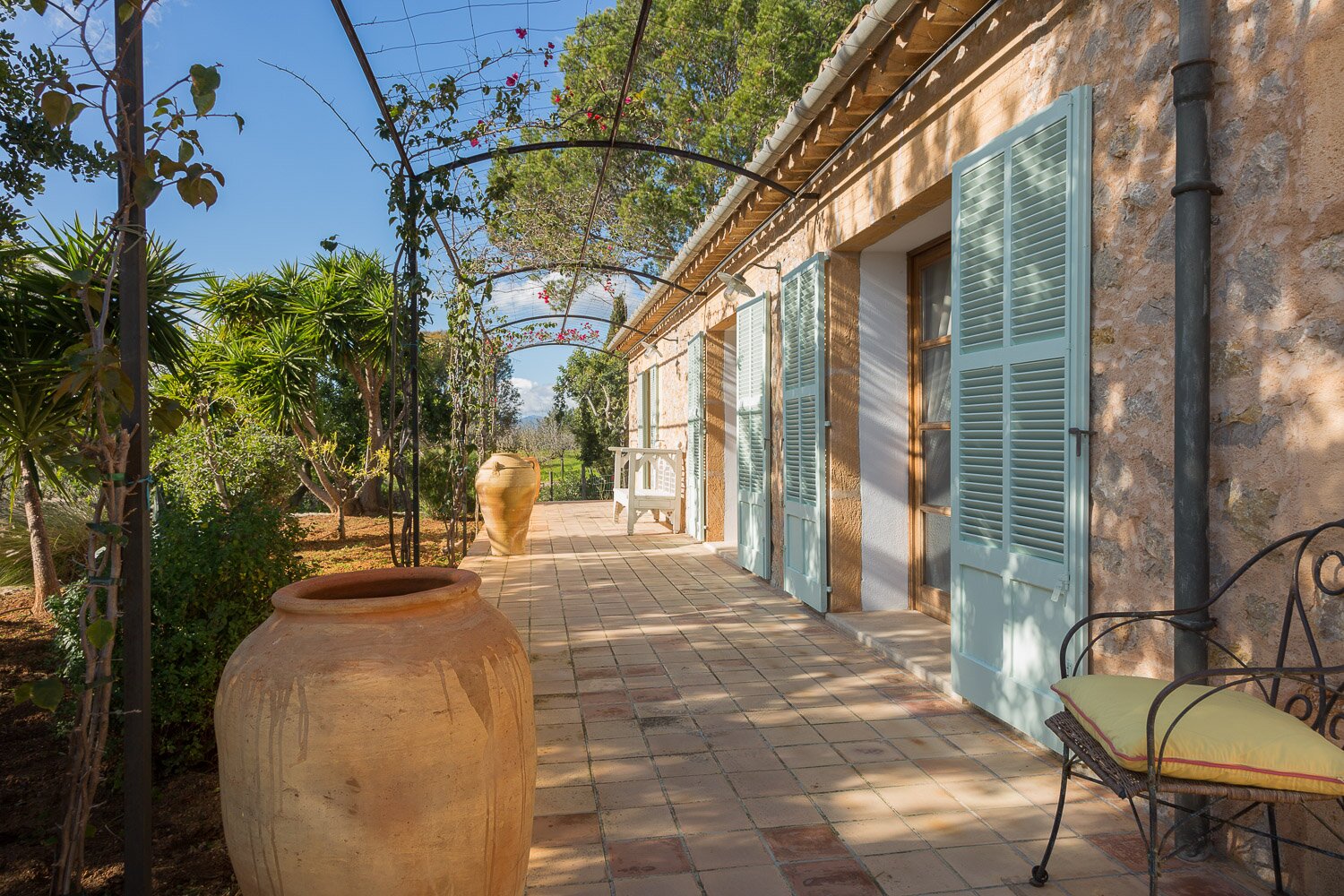 Los Pinos - Image 17