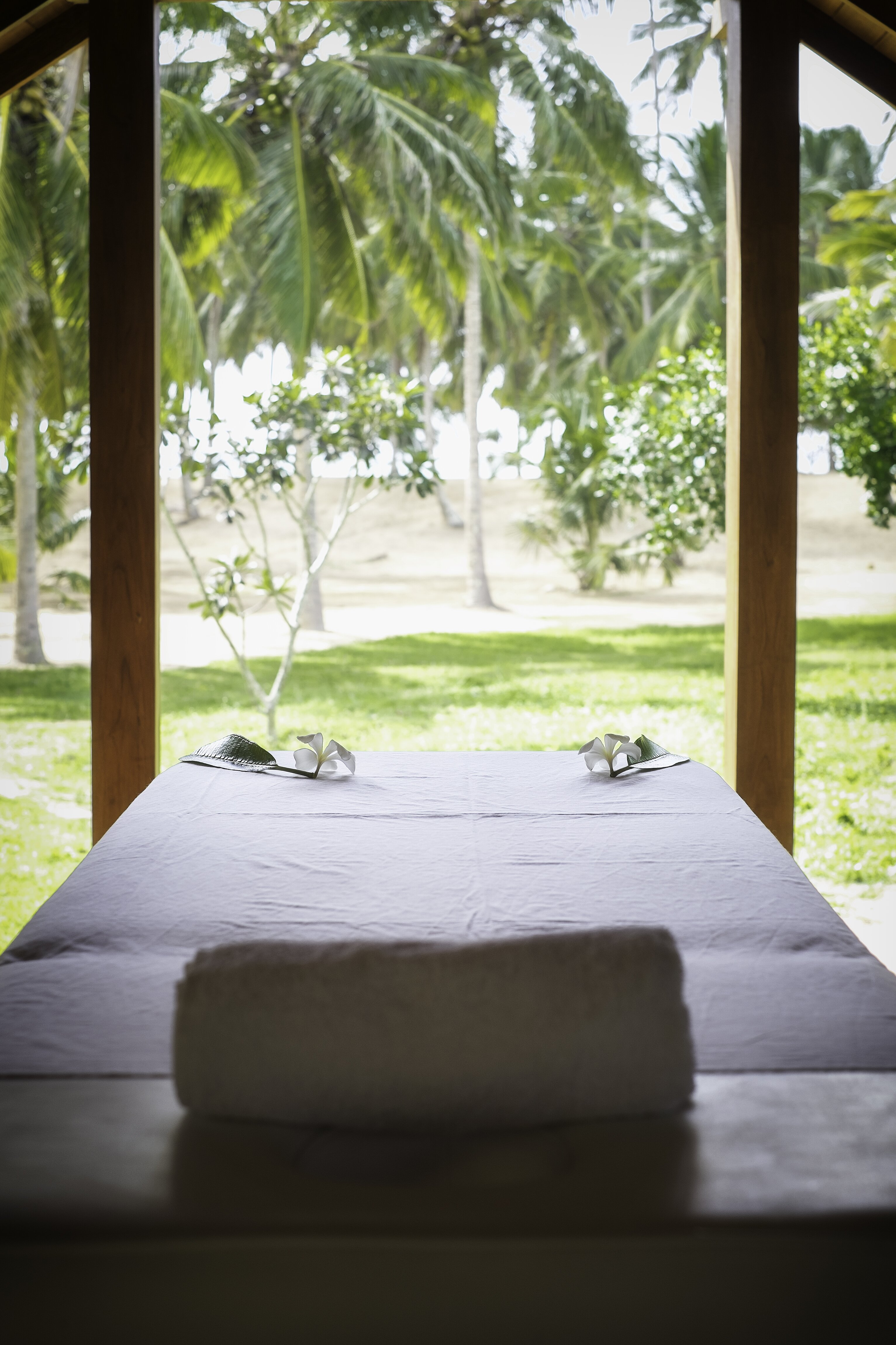 Lemongrass - Image 11