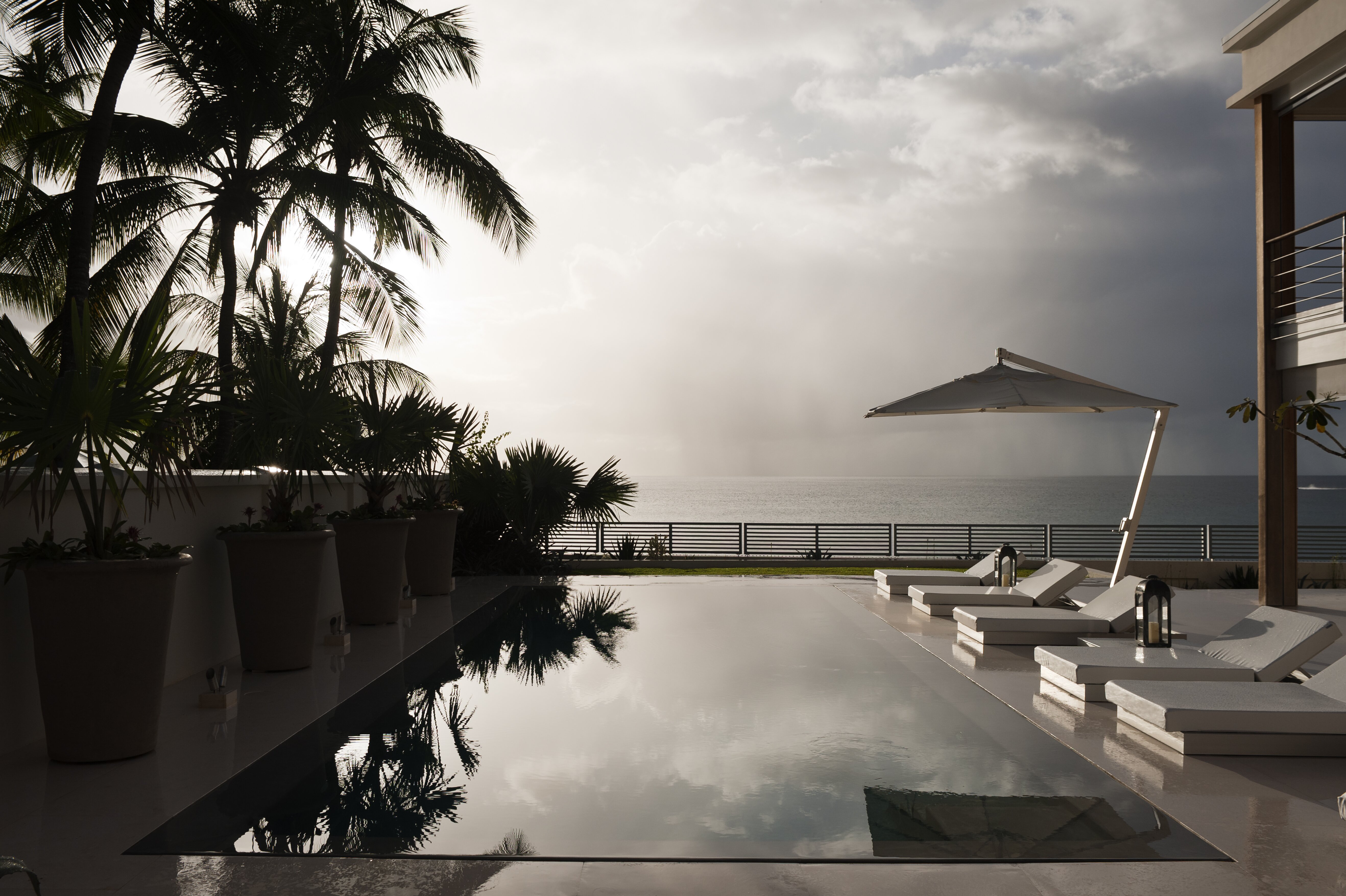 The Dream - Image 18