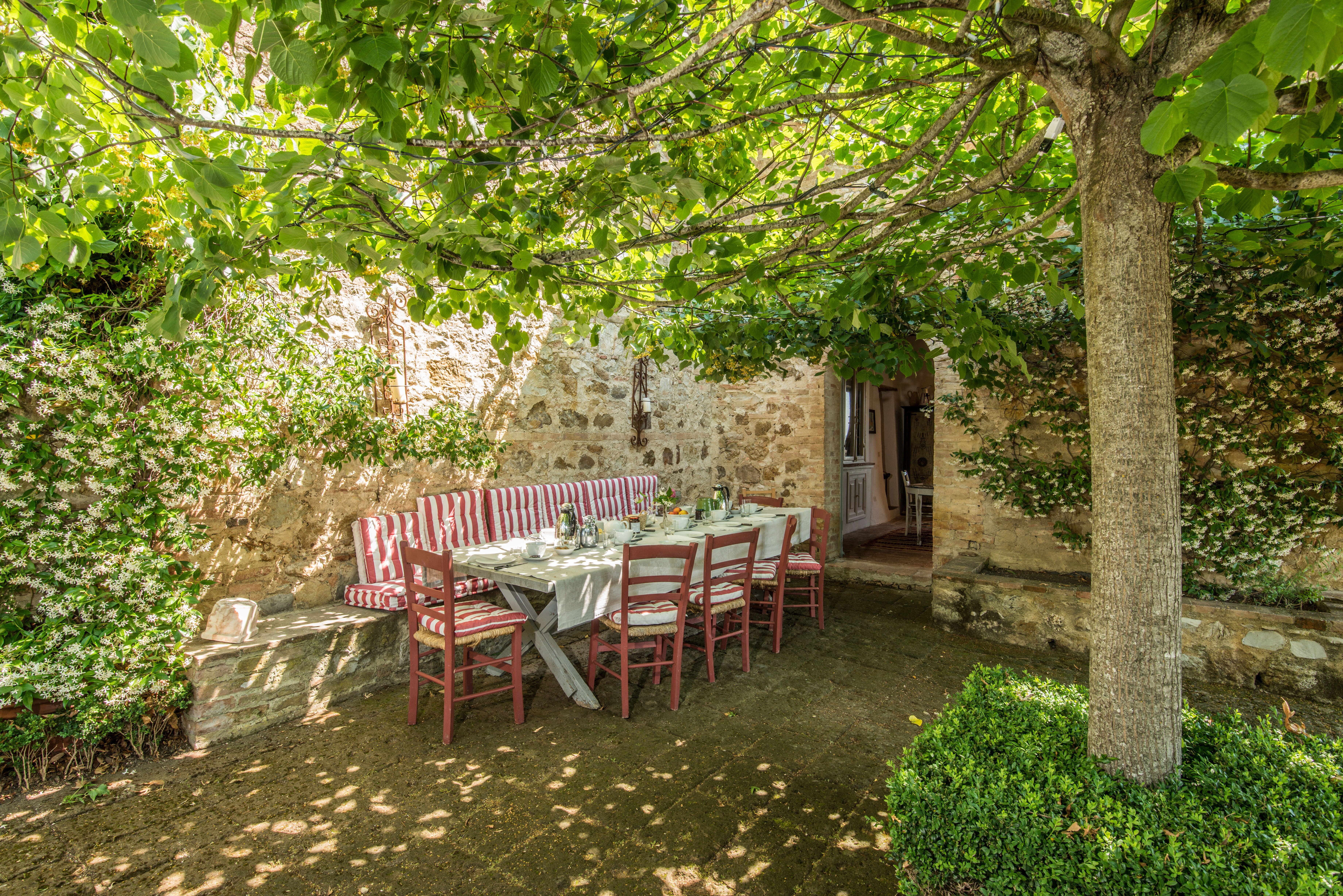 Il Panacea - Image 12