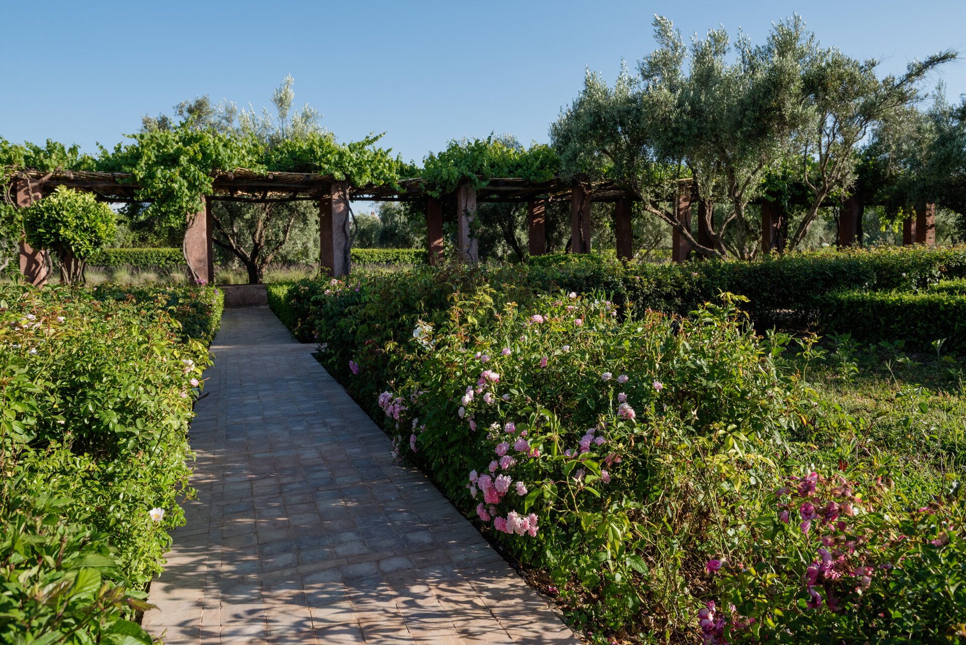 Dar des Roses Blanches, near Marrakech - Image 18