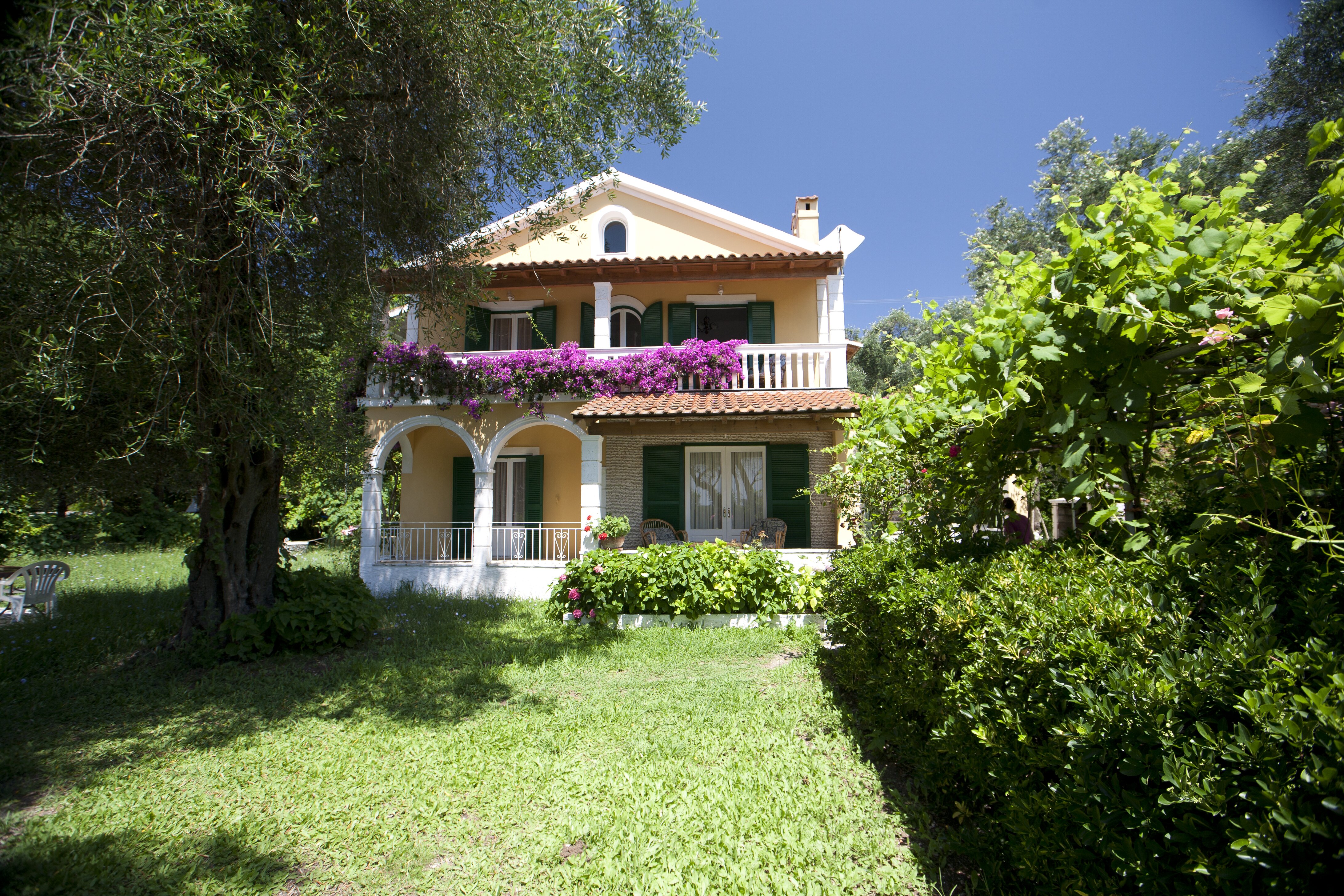 Sophia Lower - Image 10