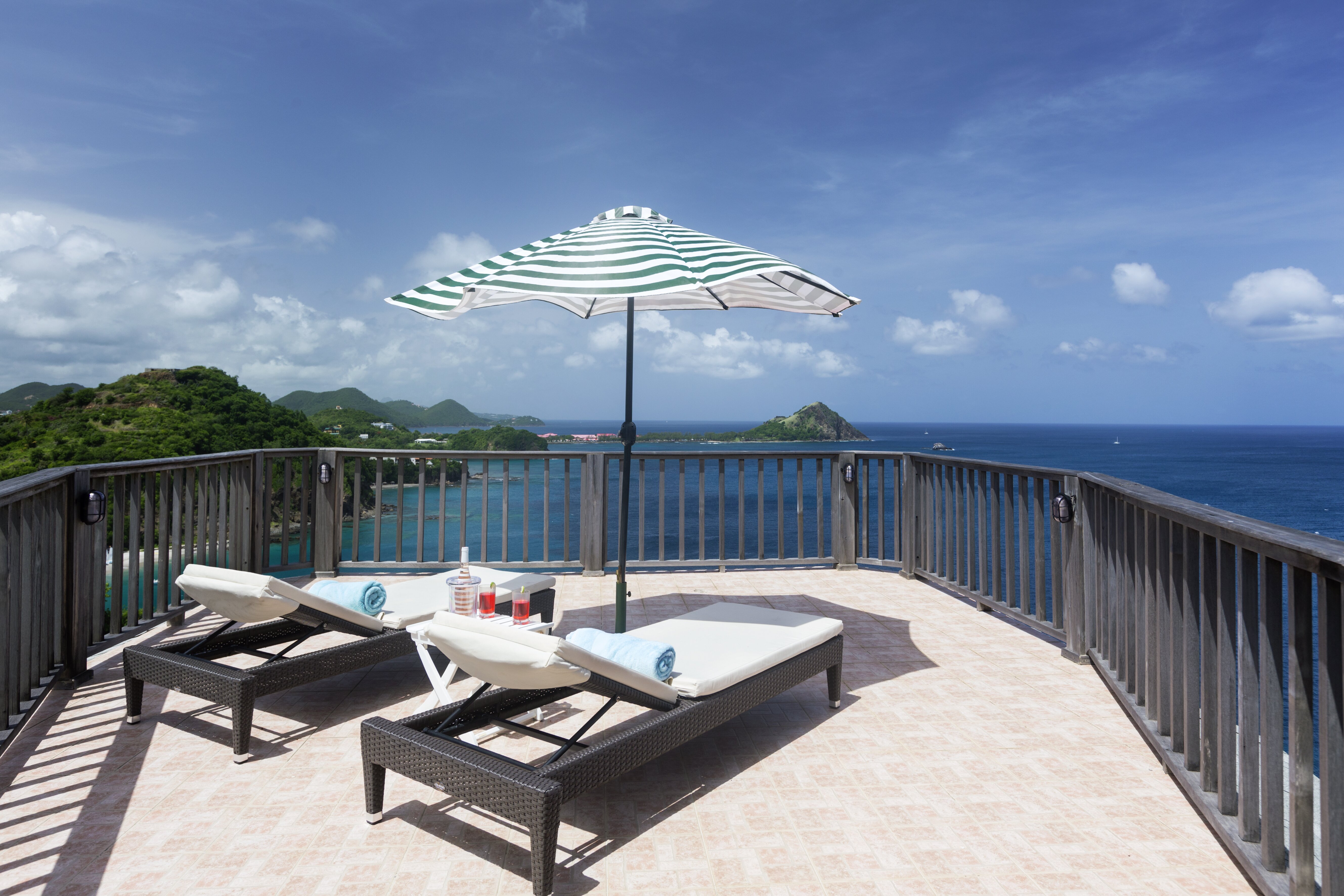 Lemon Tree - Image 11