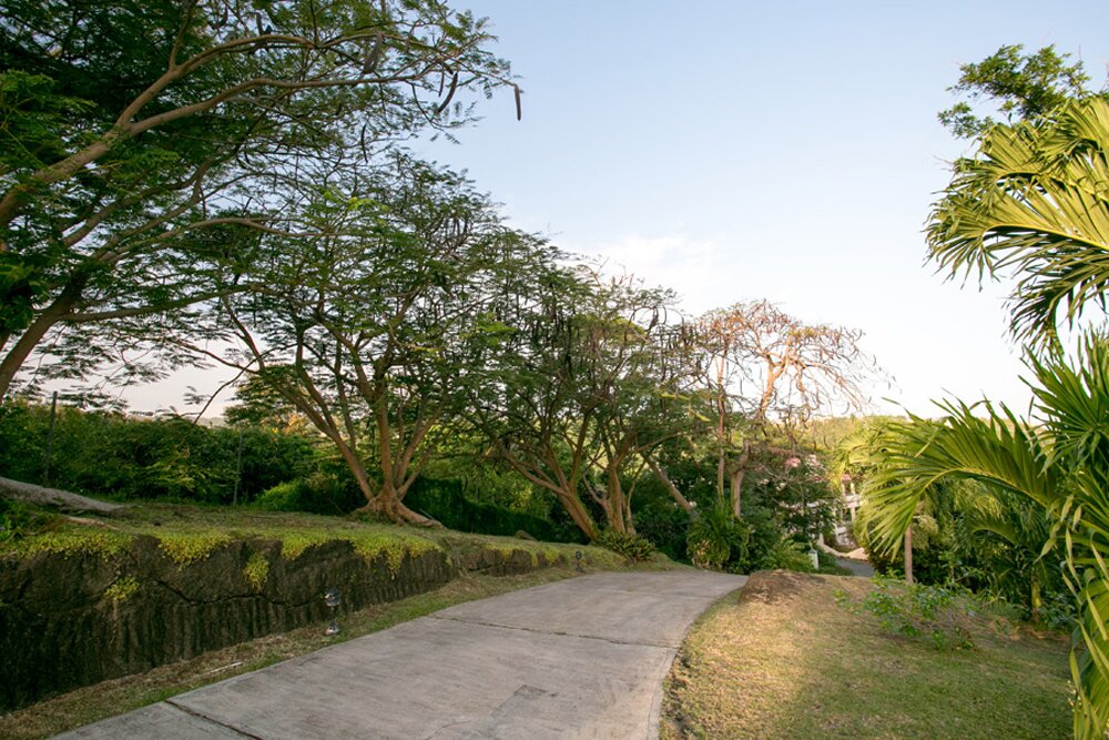 Caribella - Image 16