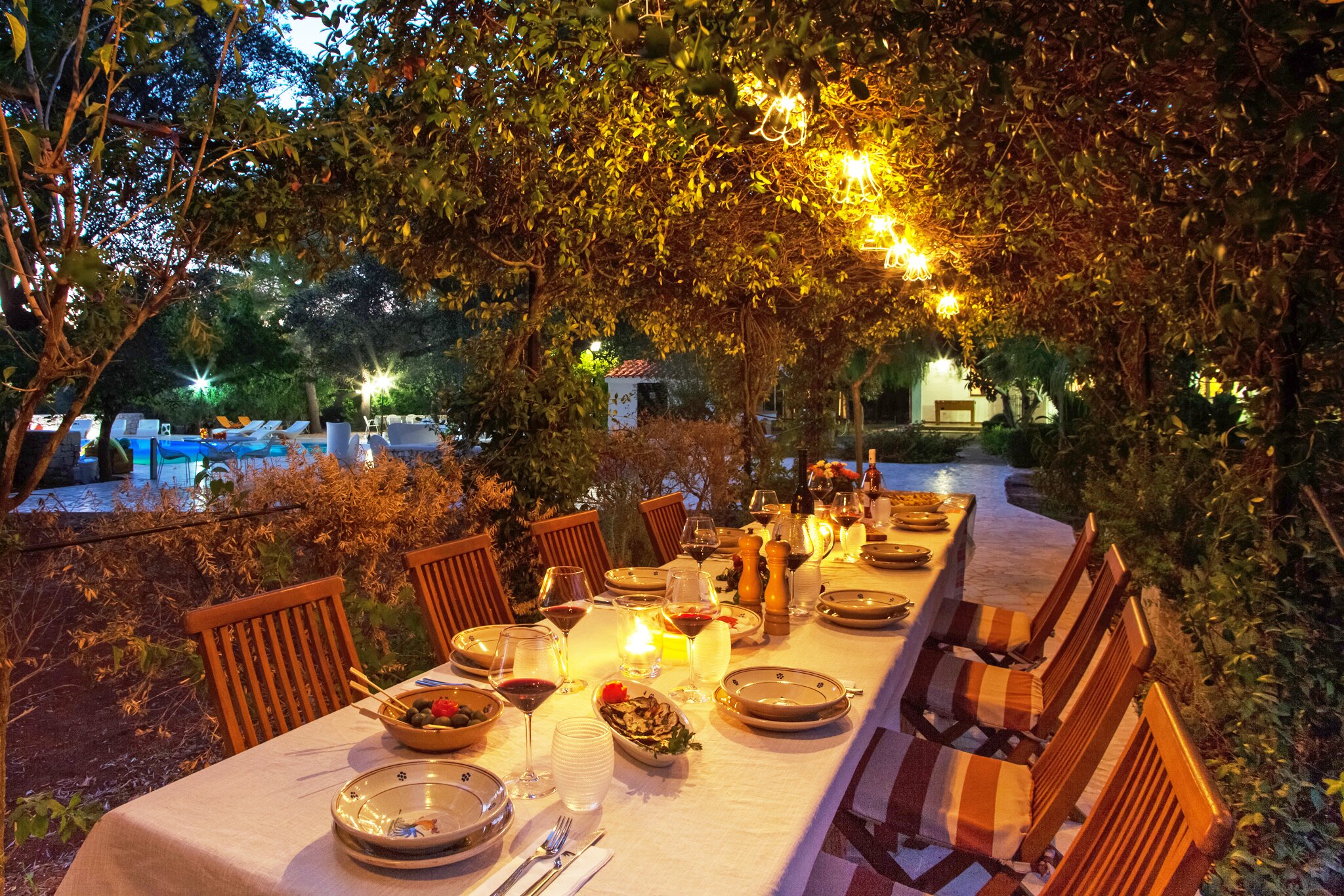 The Olive Grove - Image 8