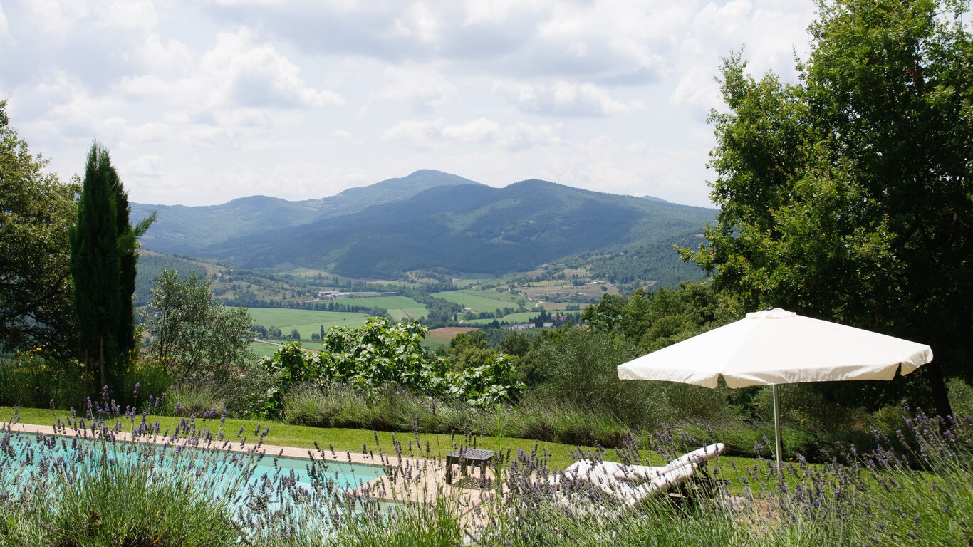 6bb3ce7b-664f-48ab-868b-5bc0529a6c6b