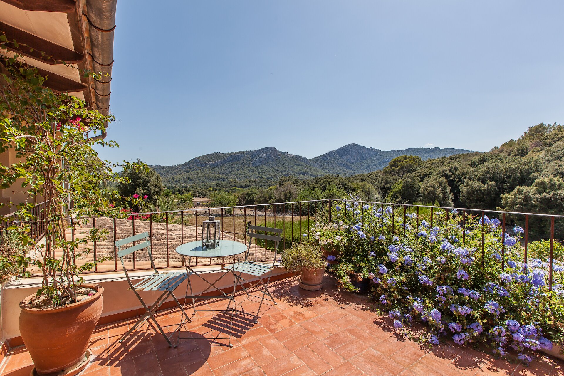 Ca'n Clematide - Image 11