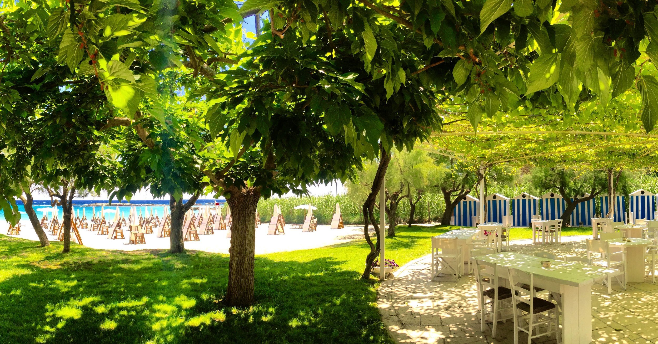 Masseria Camelia - Image 15