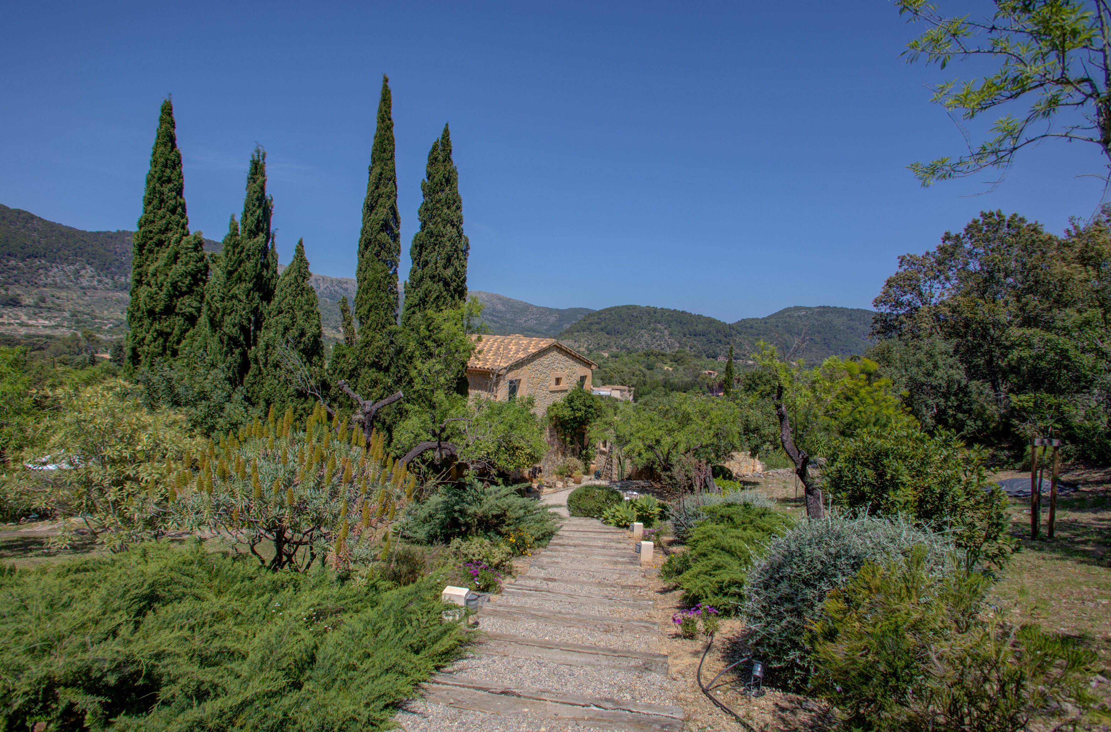 Ca'n Puput - Image 15