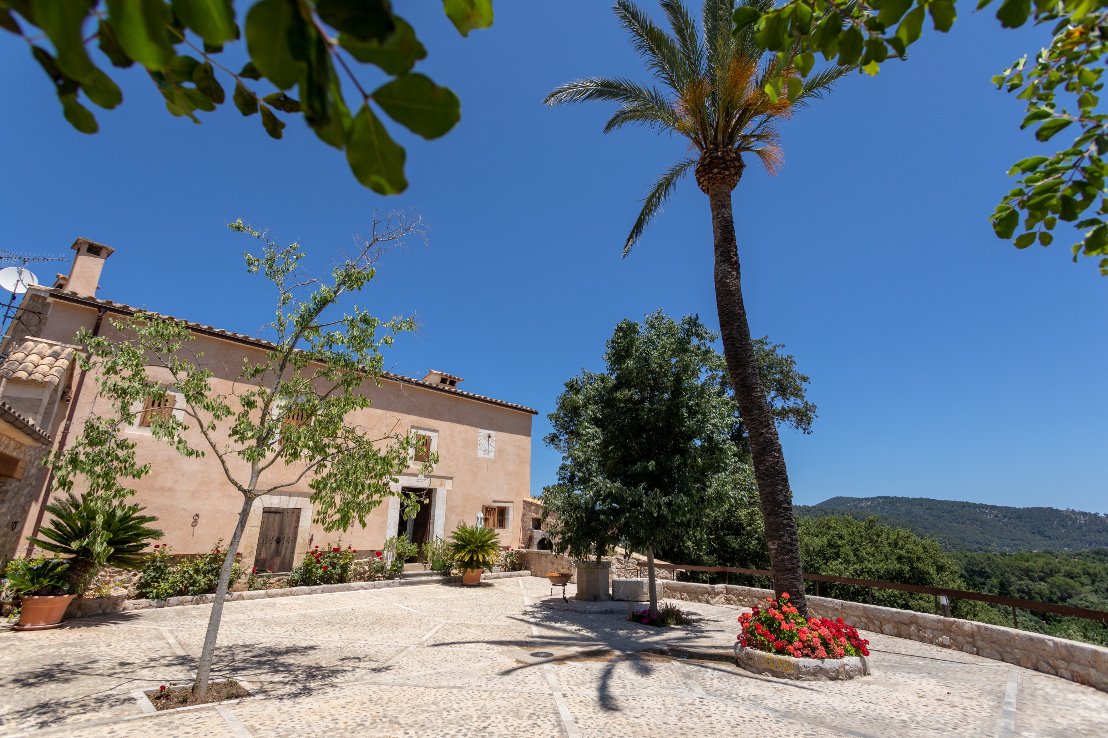 Ca'n Azucena - Image 11